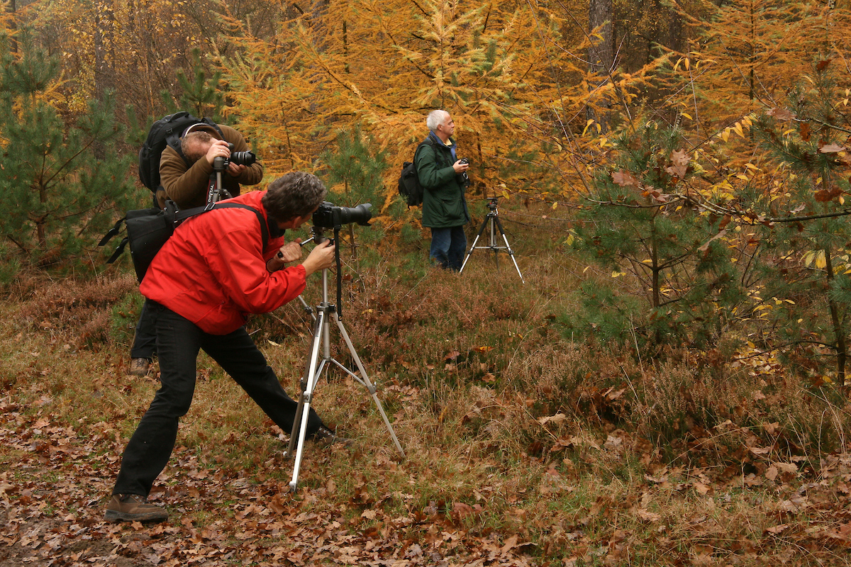 Afbeelding van natuurfotografie tijdens Natuurfotowandeling.